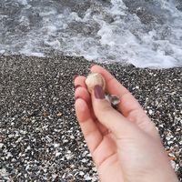 Mallek 🇩🇿's Photo