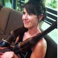 Heidi McKinley's Photo