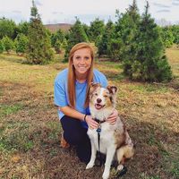 Caitlin Steel's Photo