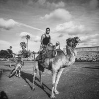 Gam Gonzalez的照片