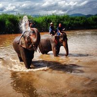 Rachel Lenihan的照片