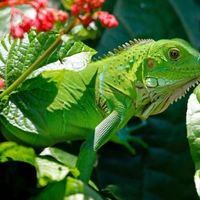 Enrique Marcelo Garcia Castillo's Photo