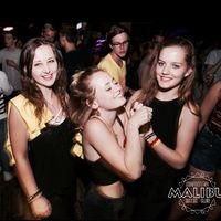 Phyllis Braunschweiger的照片