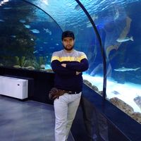 Morteza Tani的照片