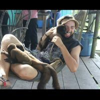 Matteo Michelini的照片