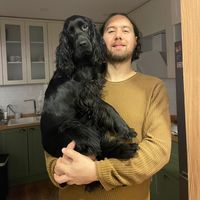 Ali Katipoglu的照片