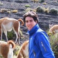 Victor Sannazzaro's Photo