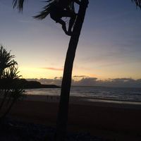 Fotos de Simon AUSSEM