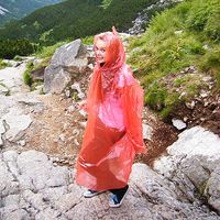 Paulina Iwona的照片