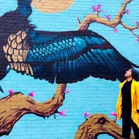 Mahdiyah Sacranie的照片