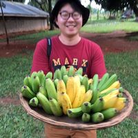 KiChul Shin的照片