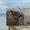 Zlata Stran's Photo