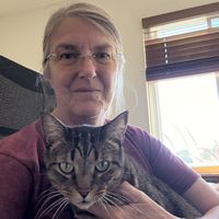 Johanna Grasso's Photo