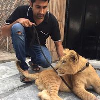 Usman Majeed的照片