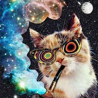 Ariadna Tsundoku's Photo