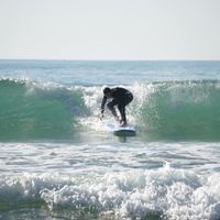 Fotos von Ross Westwood