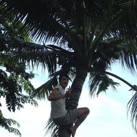 William Pellicioli的照片