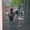Davide Stani's Photo