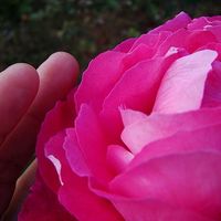 NATASHIA MB的照片