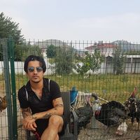 halil sezgin's Photo