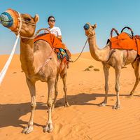 Angelo Ramirez的照片