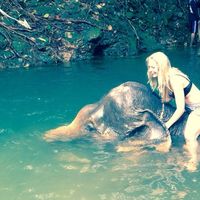 Victoria Redl's Photo