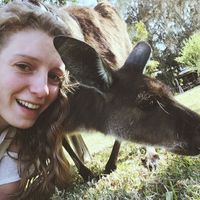 Fotos von Nina Robin