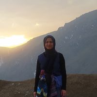 Mobi Ghanbarzadeh的照片