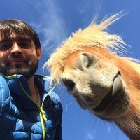 Sohaib Rizwan的照片