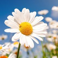 Fotos de Katharina Michalsky