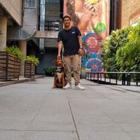 Andres Felipe's Photo