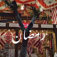 Nermine Mostafa's Photo