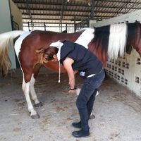 Julianna B.'s Photo