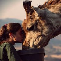 Sol Cugiani的照片