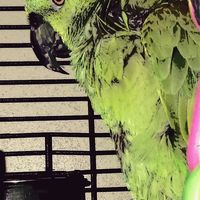 Gwynne Moore's Photo