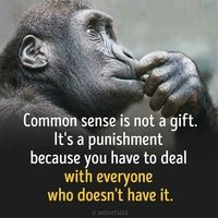 Andreas Kakoulakis's Photo