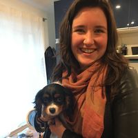 Susanna Bergin的照片