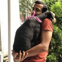 Bharat Gupta's Photo