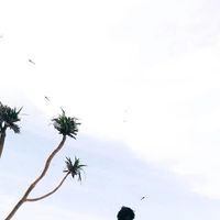 MJ Hutabarat's Photo