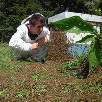 Santiago Campá's Photo