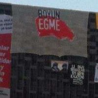 Başak Üner Koç's Photo