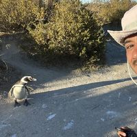 Diego Castilla Acosta's Photo