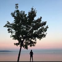 Sarah Barrow的照片