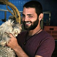 Photos de Omer Golan