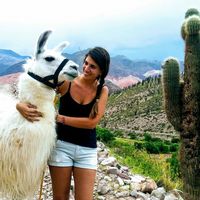 Karen Levit的照片