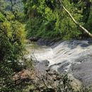 CS HIKING TRIP (Cascada La Ruidosa) 😎☀️⛰️🎋🪨💦🤽's picture