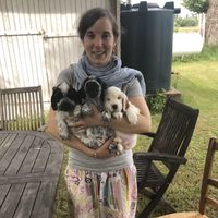 Фотографии пользователя Marie-Lucie SAUREL