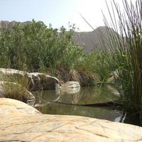 Said Hamdi Baba's Photo