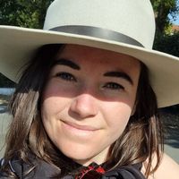 Philippine Belon's Photo