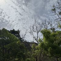 Saood Abdallah的照片